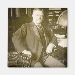 Aimant Cru de Teddy Roosevelt d'orignaux de Taureau