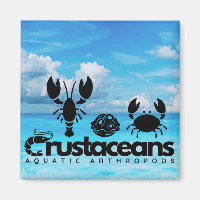 Crustacés - Arthropodes Aquatiques