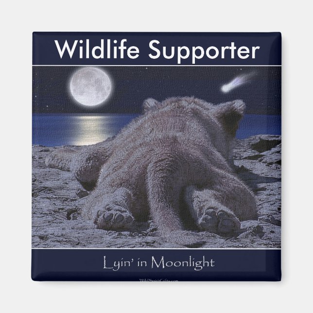 Aimant CUB LION CUB Collection (Devant)