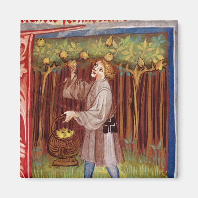 Aimant cueillir (Devant)