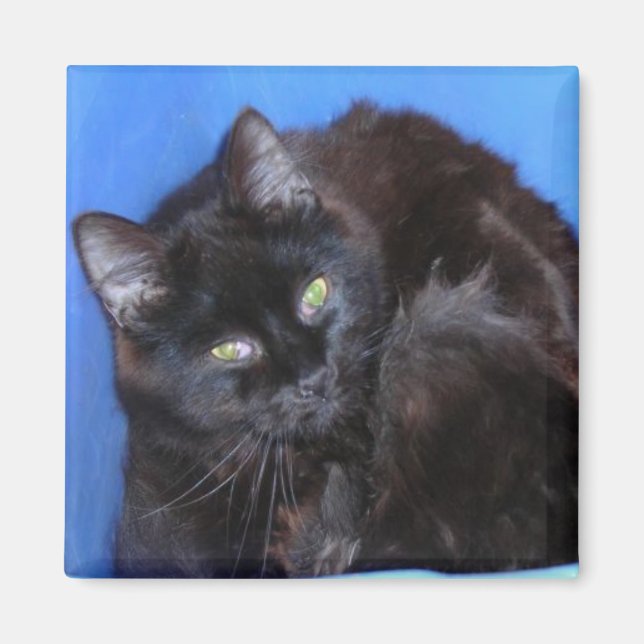 AIMANT CUISINE CHOCOLATE (Devant)