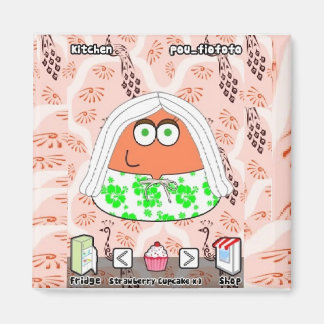 Aimant Cuisine of Pou