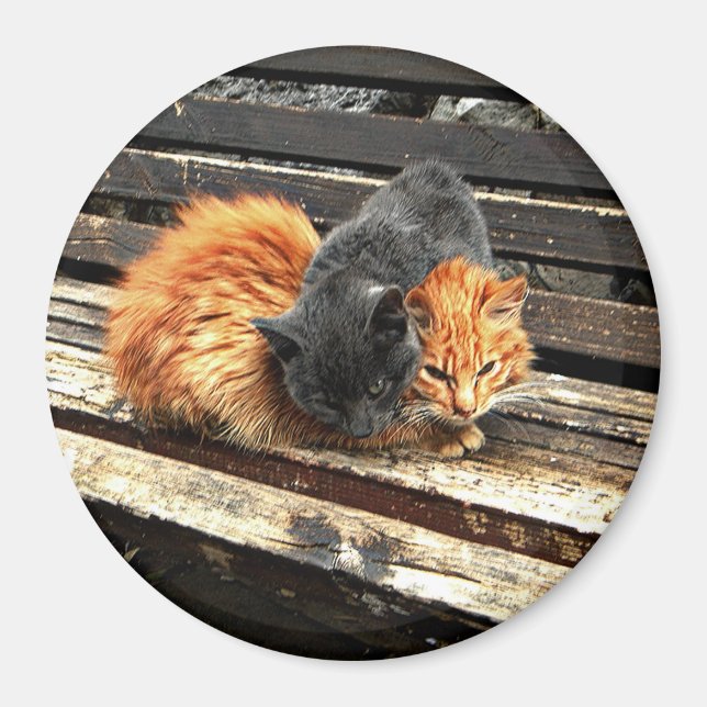 Aimant Cuisses Catnap (Devant)