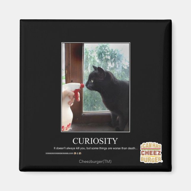 Aimant Curiosité (Devant)