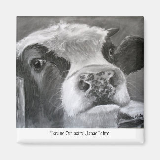 Aimant Curiosité bovine