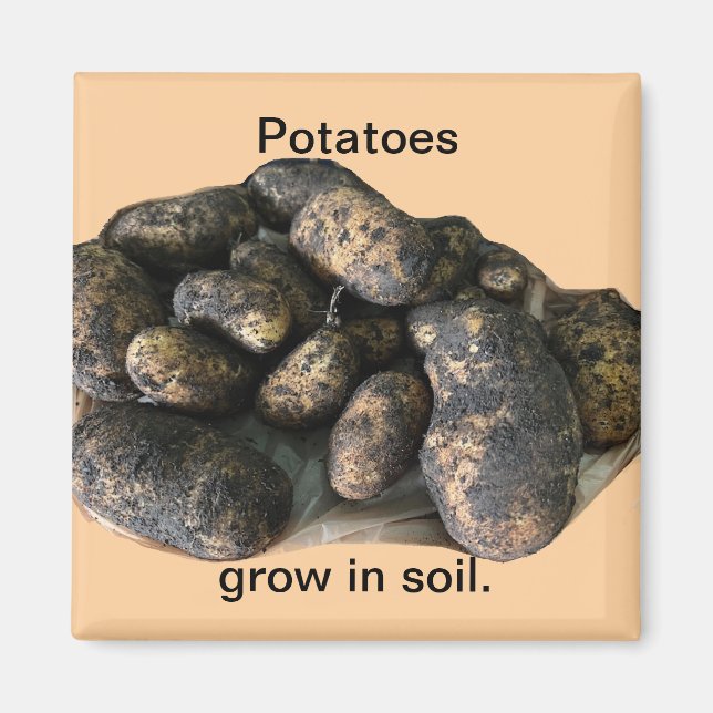 Aimant Custom Potato Magnets, harvested (Devant)