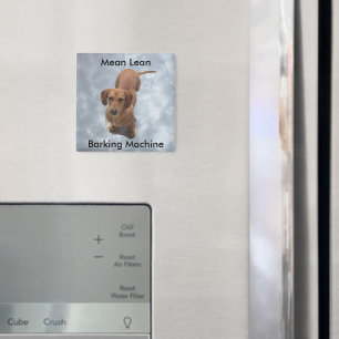 Aimant Cute Brown Dachshund Machine à aboyer