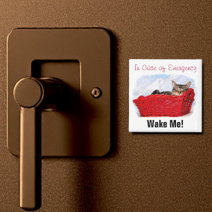 Aimant Cute Chaton À Dormir En Panier Rouge Lumineux Pers