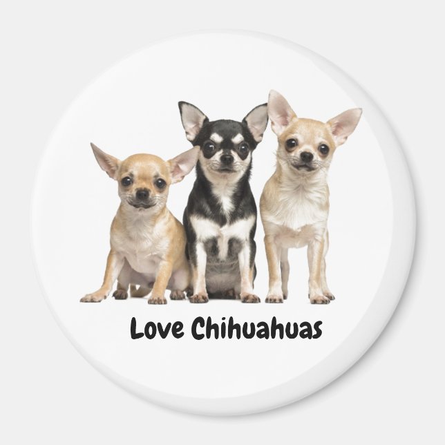 Aimant Cute Chihuahua Puppies  (Devant)