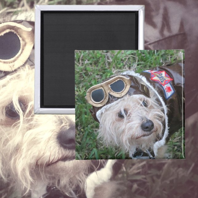 Aimant Cute Chiot dans Aviator Uniform Photographie (Créateur téléchargé)