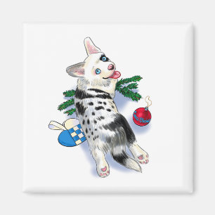 Aimant Cute Corgi bleu merle