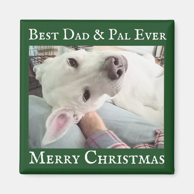 Aimant Cute Dog Photo Best Dad Pal Green and White  (Devant)
