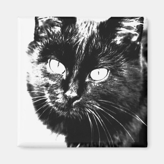 Aimant Cute Funky Chat Noir Kitten Eyes croquis (Devant)