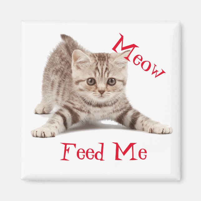 Aimant Cute Kitten (Devant)