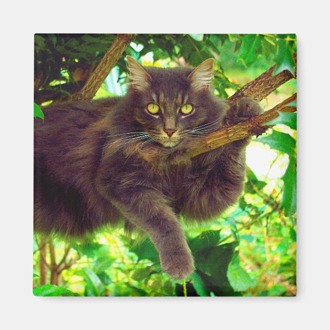 Aimant Cute Kitty Chat (Devant)