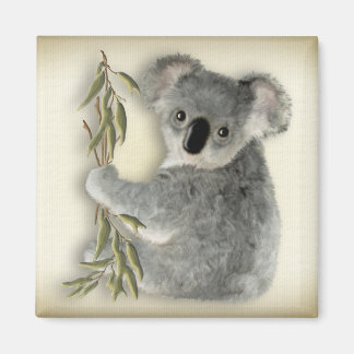 Aimant Cute Koala
