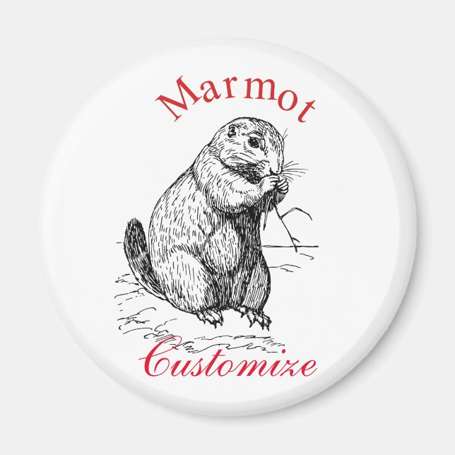 Aimant Cute Marmot Animal Thunder_Cove (Devant)