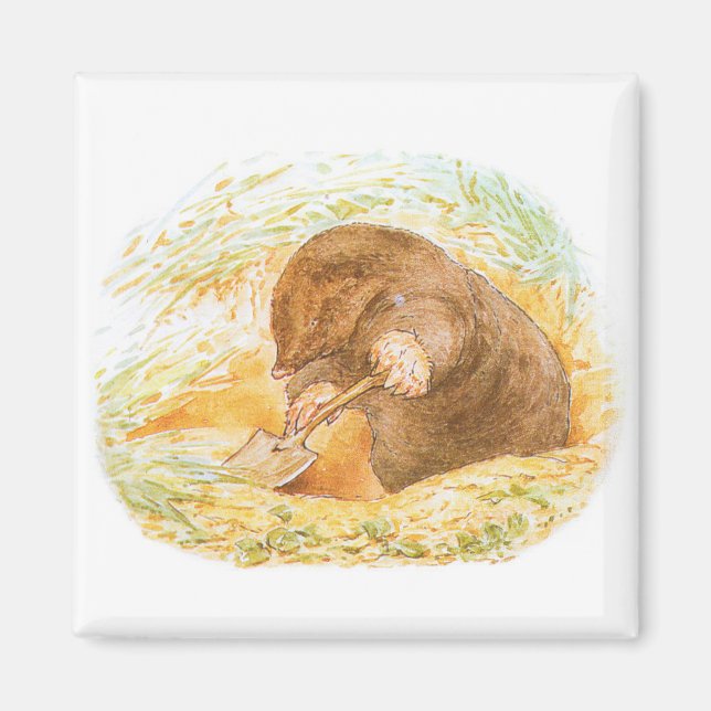 Aimant Cute Mole (Animal Art for Kids) (Beatrix Potter) (Devant)