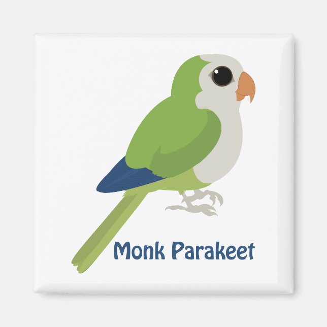 Aimant Cute Monk Parakeet (Devant)