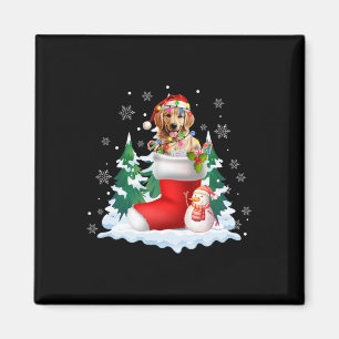 Aimant Cute Père Noël Golden Retriever Dans Chaussettes d