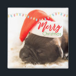 Aimant Cute Puppy Pug in a Red Santa Hat Christmas<br><div class="desc">A magnet with an adorable photo of a pug puppy sleeping while wearing a red santa hat. Merry Christmas is written on the band of his hat,  in a trendy handwritten font,  in the festive colors red and green. Christmas lights strung across the top creates additional seasonal holiday flair.</div>