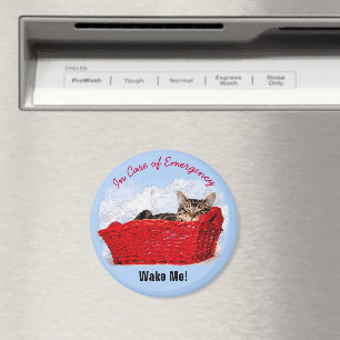 Aimant Cute Sleeping Kitts Dans Panier Rouge Photo person