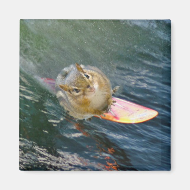 Aimant Cute Surfing Chipmunk (Devant)