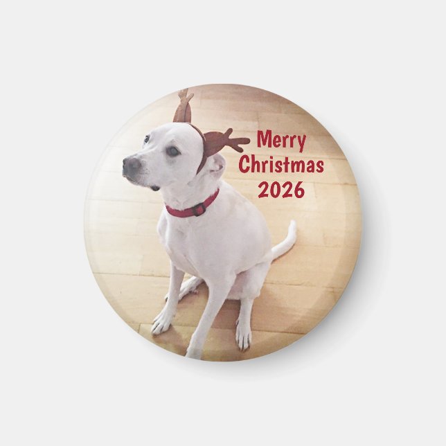 Aimant Cute White Reindeer Dog Photo Merry Christmas (Devant)