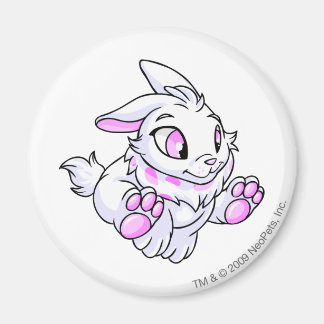 Aimant Cybunny blanc