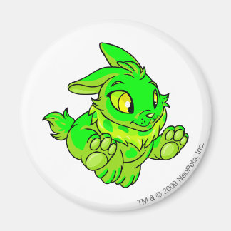 Aimant Cybunny brillant