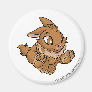 Aimant Cybunny Brown