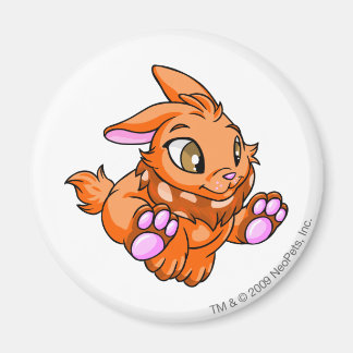 Aimant Cybunny Orange