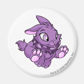 Aimant Cybunny pourpre