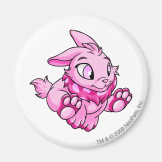 Aimant Cybunny rose