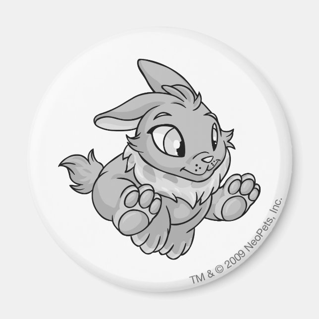 Aimant Cybunny Silver (Devant)
