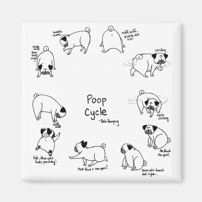 Aimant Cycle de bouclage (Devant)