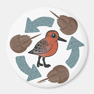 Aimant Cycle de noeud de crabe