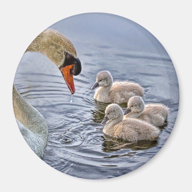 Aimant cygne et bébé (Devant)