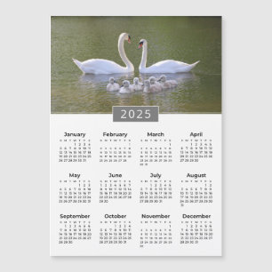 Aimant cygne et cygnets Calendrier 2025