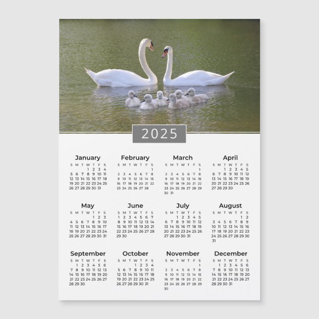 Aimant cygne et cygnets Calendrier 2025 (Devant)