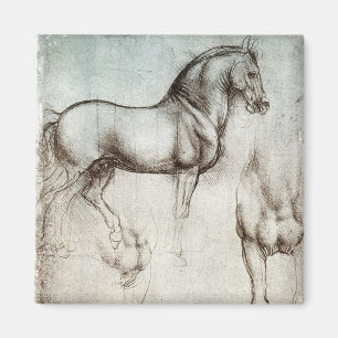 Aimant Da Vinci Étude d'un Cheval Renaissance Art