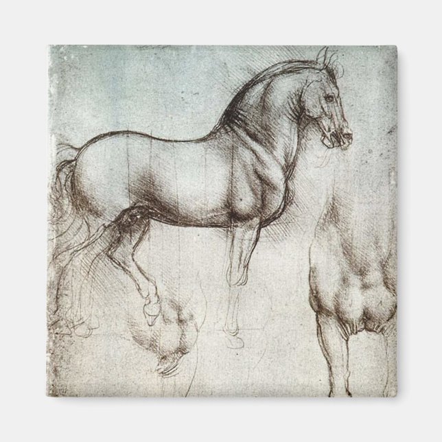 Aimant Da Vinci Horse Study Renaissance Sketch Art (Devant)