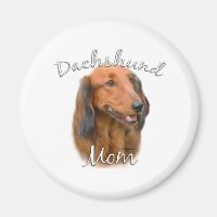 Dachshund (à poil long) Maman 2