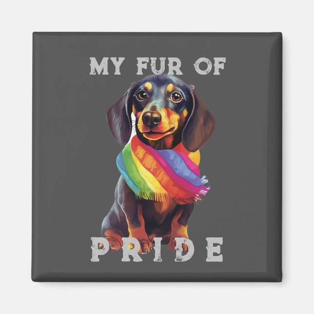 Aimant Dachshund Chien Rainbow Drôle Ma Fierté De Fourrur (Devant)