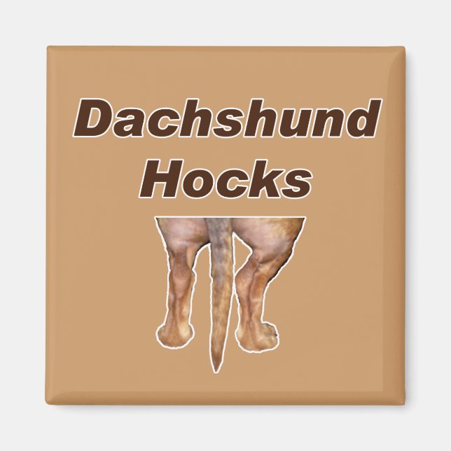 Aimant Dachshund Hocks (Devant)