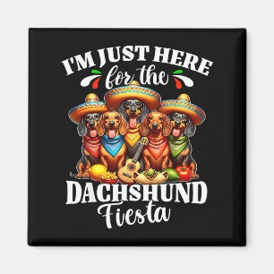 Aimant Dachshund juste ici pour le cinco de mayo teckel