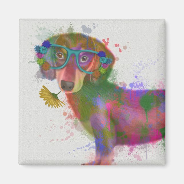 Aimant Dachshund & Lunettes Rainbow Splash (Devant)