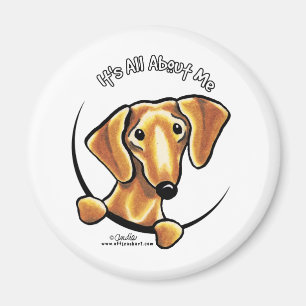 Aimant Dachshund Rouge Doux Tout Sur Moi