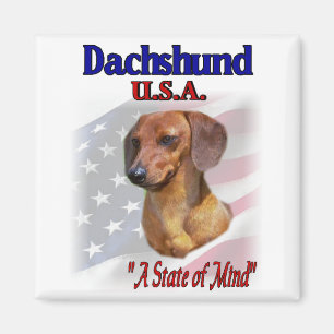Aimant Dachshund USA Patriotique