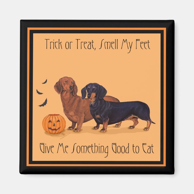 Aimant Dachshunds Halloween (Devant)